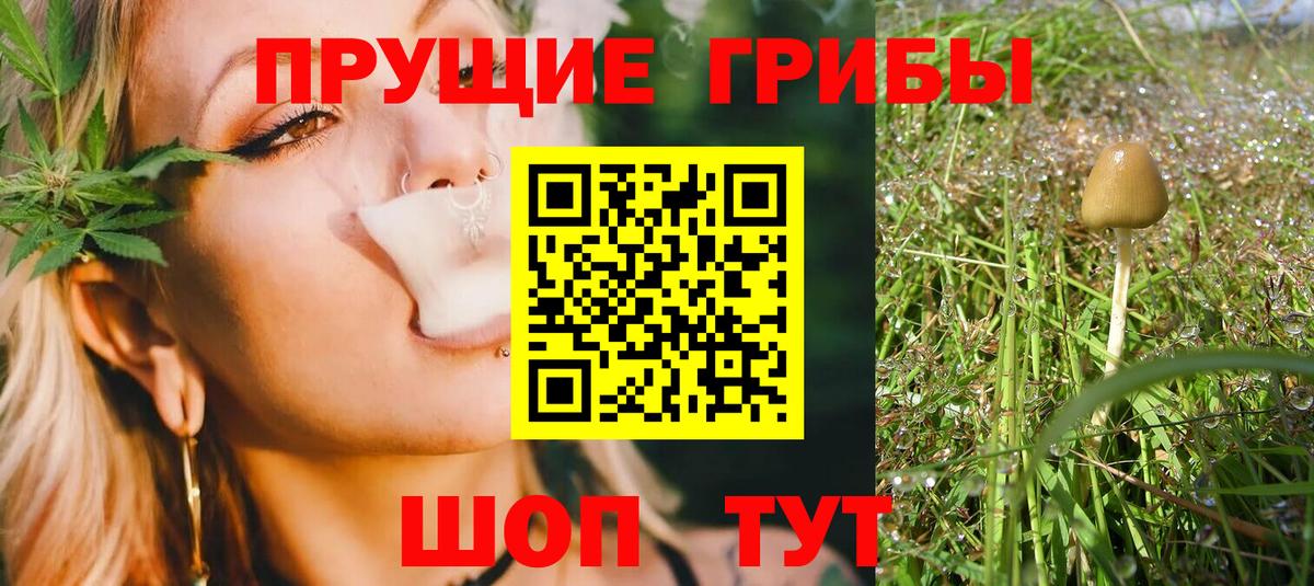 Галлюциногенные грибы прущие грибы Касимов