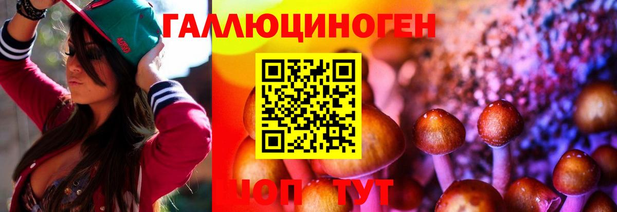 Галлюциногенные грибы Magic Shrooms  Псилоцибиновые грибы GOLDEN TEACHER  Касимов  Вход с VPN 